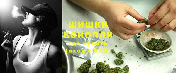 PSILOCYBIN Алзамай