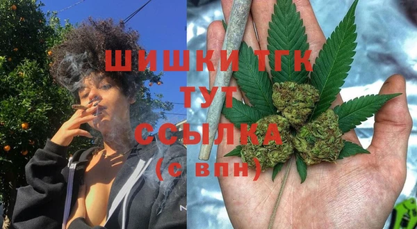 PSILOCYBIN Алзамай