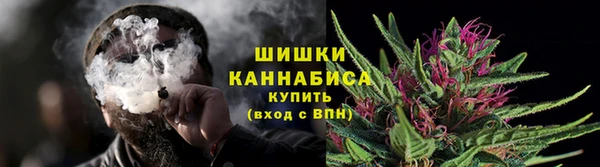 PSILOCYBIN Алзамай