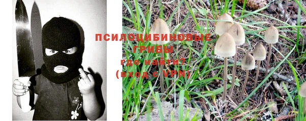 твердый Алексеевка