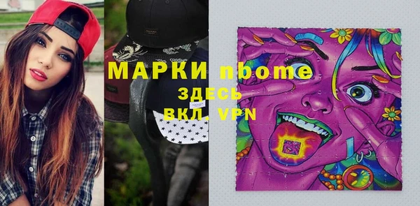 PSILOCYBIN Алзамай