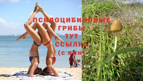 твердый Алексеевка