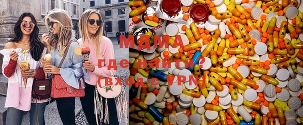 PSILOCYBIN Алзамай