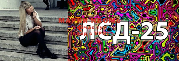 PSILOCYBIN Алзамай