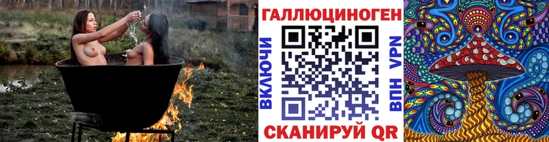 наркотики Зерноград Псилоцибиновые грибы Psilocybine cubensis